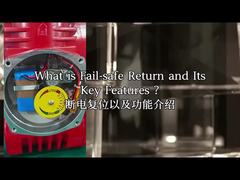 Взрывозащитный электрический приводы IP68 CSA отключение питания резет Modbus